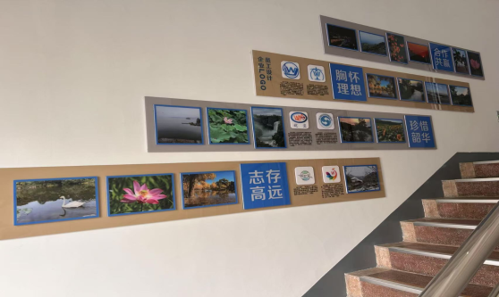 企业展示3